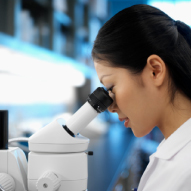 Partners for Discovery