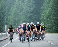 Cypress Challenge | Partners in Discovery