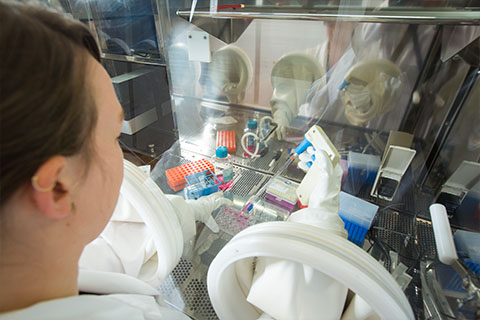 Lab technician at the Deeley Research Centre