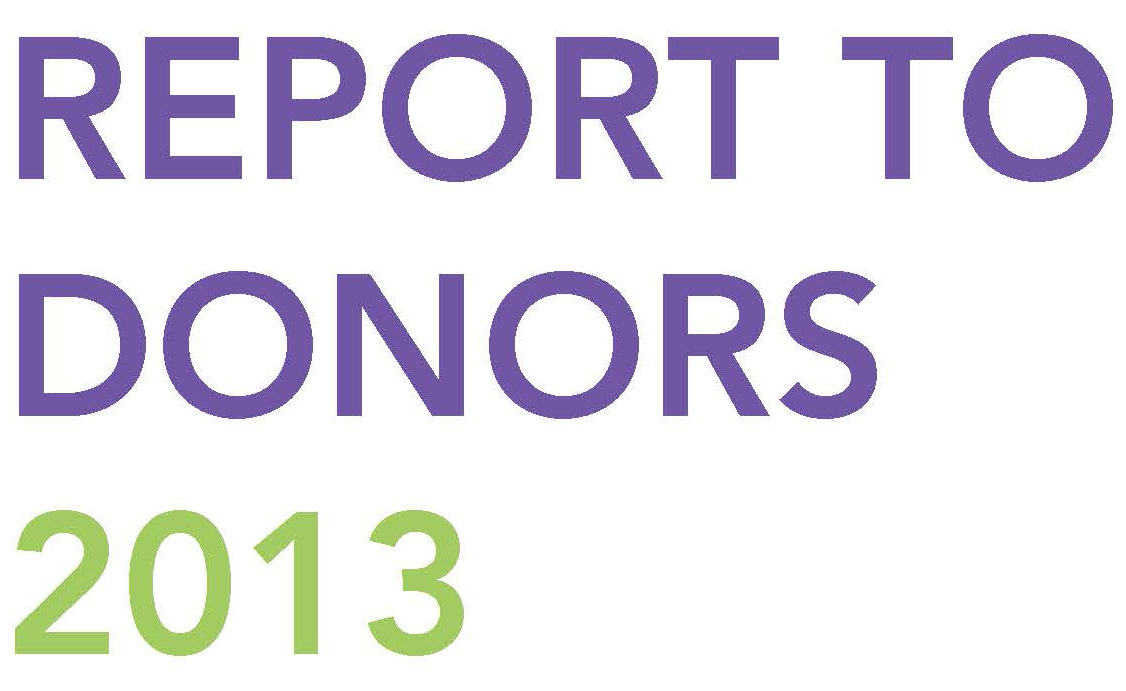REPORT TO DONORS 2013-2.jpg
