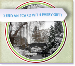 Send an ecard with every gift